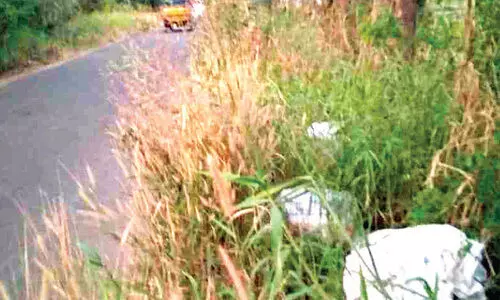 മാലിന്യം തള്ളി മൂക്കുപൊത്തിക്കുന്നു മാലിന്യം തള്ളി മൂക്കുപൊത്തിക്കുന്നു