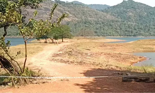 പരപ്പാർ ഡാമിന്‍റെ ഉള്ളിലേക്ക് പ്രവേശനത്തിന് നിയന്ത്രണം