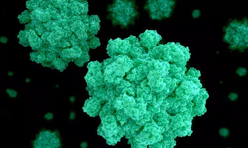 കേരളത്തിൽ വീണ്ടും നോറോവൈറസ്; മൂന്ന് വിദ്യാർഥികൾ ആശുപത്രിയിൽ