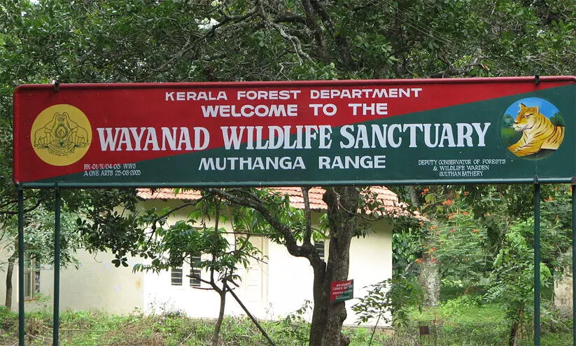 നാട്ടിലിറങ്ങുന്ന വന്യമൃഗങ്ങളെ പിടികൂടൽ; വനപാലകർക്ക് പാലക്കാട്ട് പൊന്നാട, വയനാട്ടിൽ അവഗണന നാട്ടിലിറങ്ങുന്ന വന്യമൃഗങ്ങളെ പിടികൂടൽ; വനപാലകർക്ക് പാലക്കാട്ട് പൊന്നാട, വയനാട്ടിൽ അവഗണന