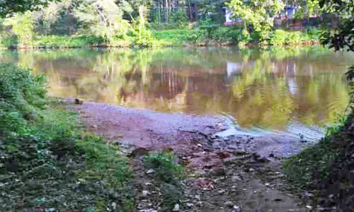സർവേ തുടങ്ങി; കല്ലാച്ചേരിക്കടവ് പാലം നിർമാണത്തിൽ വീണ്ടും പ്രതീക്ഷ സർവേ തുടങ്ങി; കല്ലാച്ചേരിക്കടവ് പാലം നിർമാണത്തിൽ വീണ്ടും പ്രതീക്ഷ