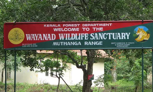 നാട്ടിലിറങ്ങുന്ന വന്യമൃഗങ്ങളെ പിടികൂടൽ; വനപാലകർക്ക് പാലക്കാട്ട് പൊന്നാട,   വയനാട്ടിൽ അവഗണന