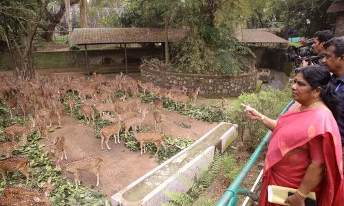 മൃഗശാലയിൽ ക്ഷയരോഗ ഭീഷണി; മനുഷ്യരിലേക്ക്​ പകരാതിരിക്കാൻ മുൻകരുതലിന്​ നിർദേശം