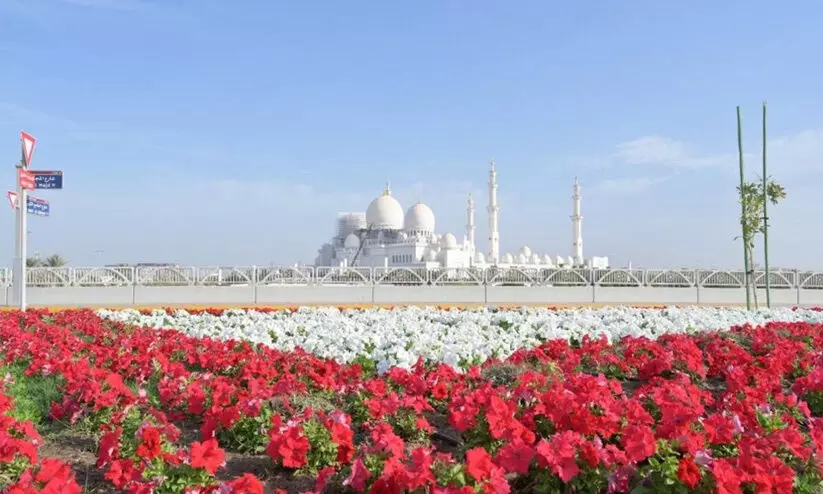 പൂ​ക്ക​ളാ​ൽ പൂ​ത്തു​ല​ഞ്ഞ്​ അ​ബൂ​ദ​ബി