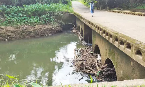 വല്ലത്തായിക്കടവ് പാലം; 4.95 കോടി രൂപയുടെ പുതുക്കിയ ഭരണാനുമതി വല്ലത്തായിക്കടവ് പാലം; 4.95 കോടി രൂപയുടെ പുതുക്കിയ ഭരണാനുമതി