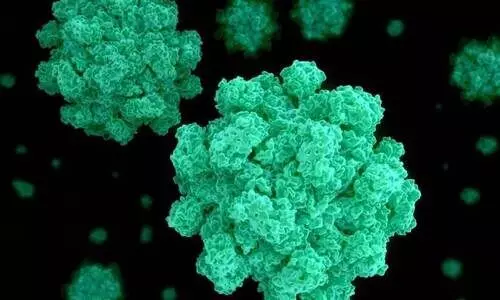 Norovirus: no one has sought treatment recently