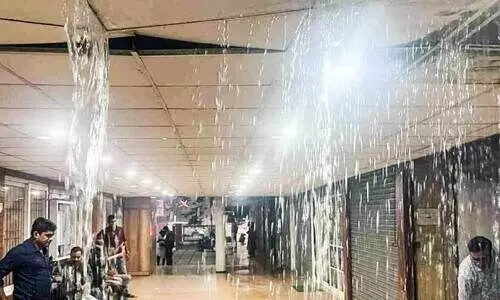 തൃക്കാക്കര നഗരസഭ