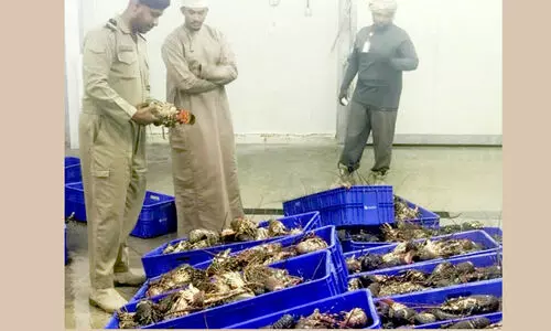 അ​ന​ധി​കൃ​ത മ​ത്സ്യ​ബ​ന്ധ​നം; മൂ​ന്നു​ വി​ദേ​ശി​ക​ൾ   പി​ടി​യി​ൽ