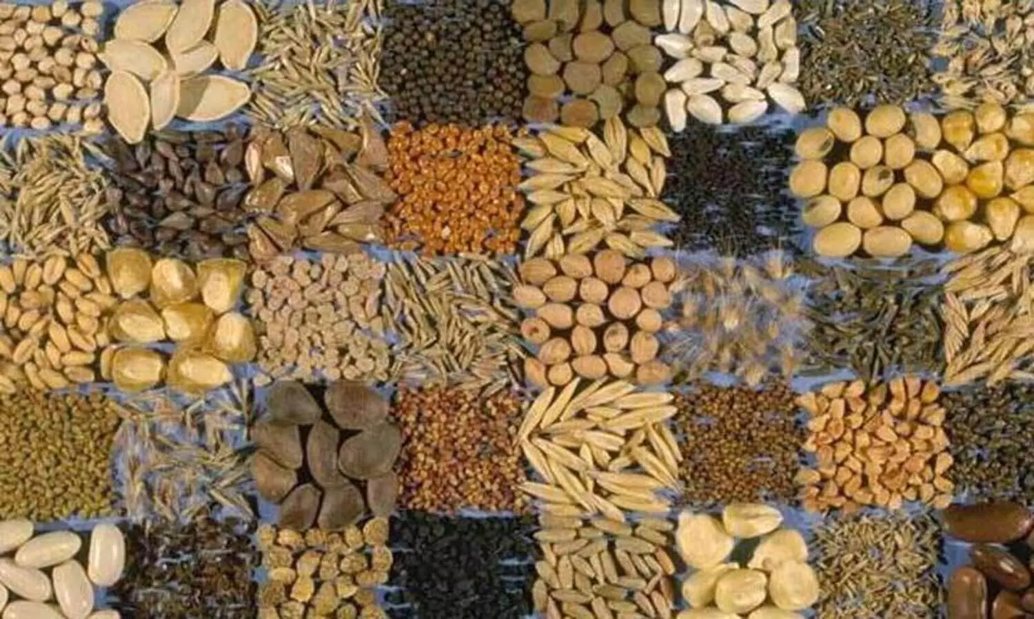 agriculture products