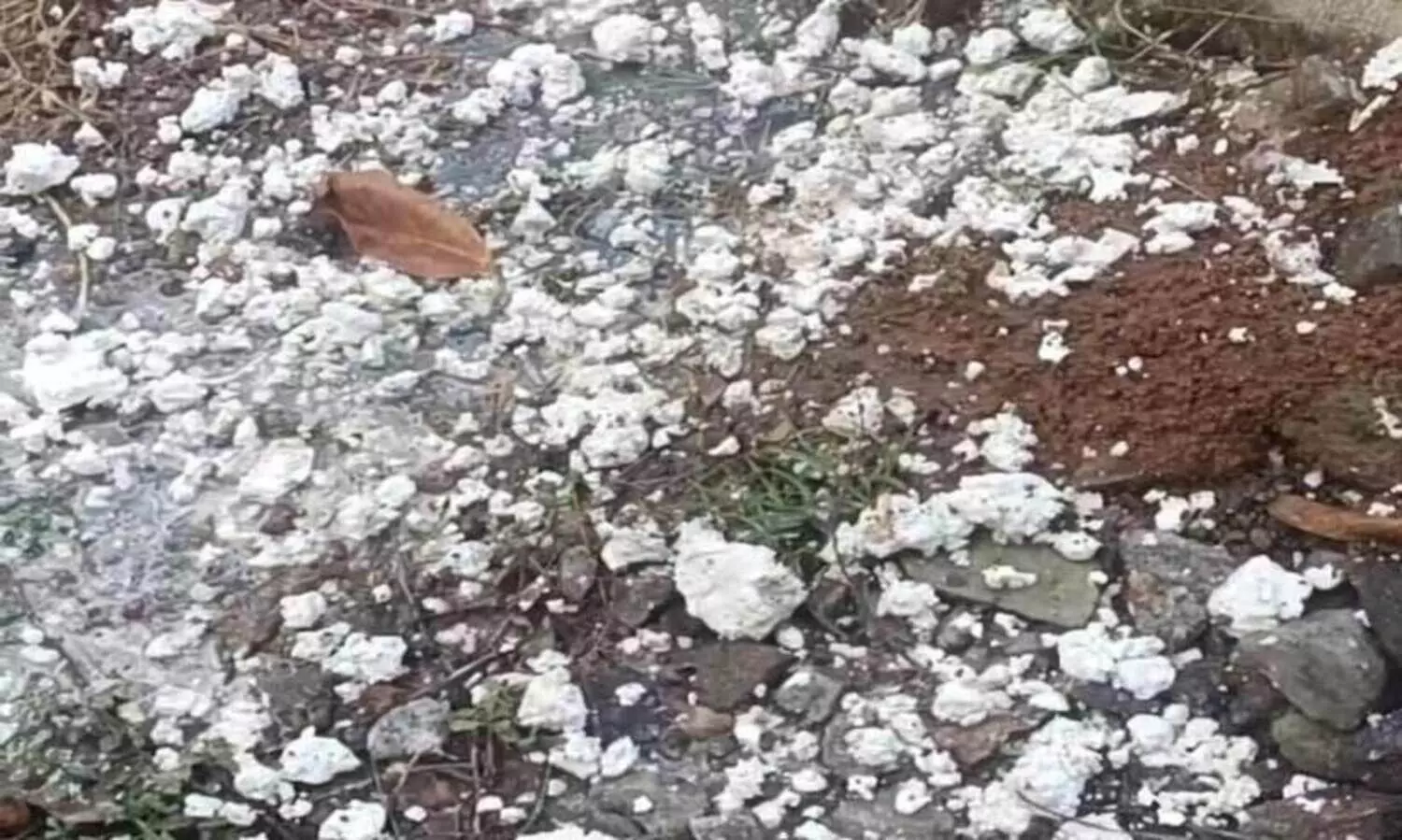 കൊട്ടാരക്കര നഗരസഭ ഓഫിസിന് സമീപം കക്കൂസ്​ മാലിന്യം ഒഴുകുന്നു