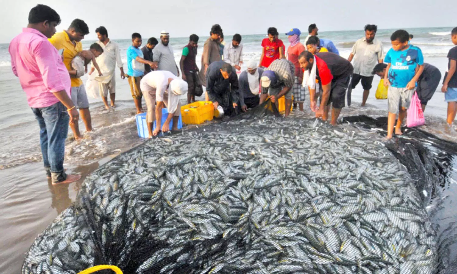 കാ​ലാ​വ​സ്ഥ വ്യ​തി​യാ​നം; മ​ത്സ്യ​ല​ഭ്യ​ത കു​റ​യു​ന്നു