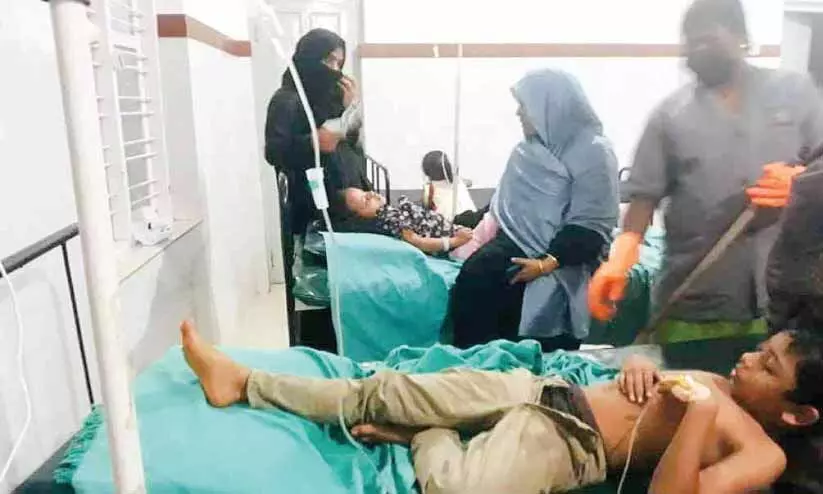 തേനീച്ചയുടെ കുത്തേറ്റ് നിരവധി വിദ്യാർഥികൾക്ക് പരിക്ക്