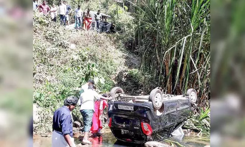 കട്ടപ്പനയാറിലേക്ക് കാർ മറിഞ്ഞു