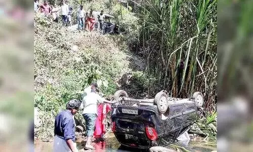 കട്ടപ്പനയാറിലേക്ക് കാർ മറിഞ്ഞു