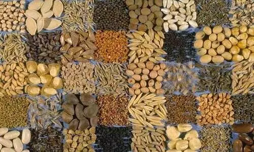 agriculture products