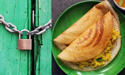 മസാല ദോശയിൽ തേരട്ട; പറവൂരിൽ ഹോട്ടൽ അടപ്പിച്ചു