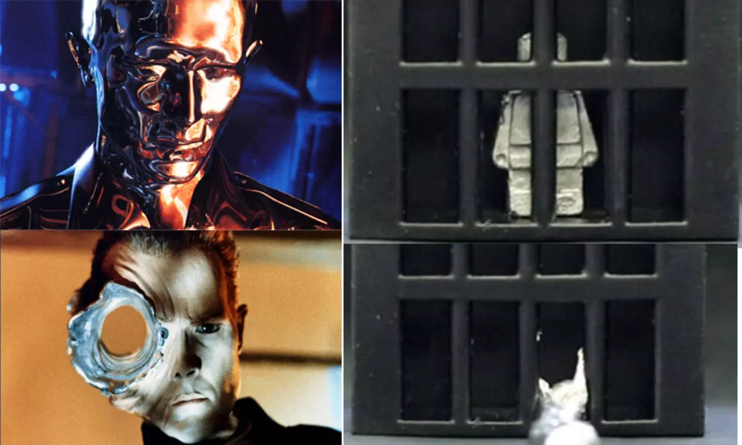 ടെർമിനേറ്ററിലെ വില്ലൻ യാഥാർഥ്യമാകുന്നു..? ദ്രാവക രൂപം പ്രാപിക്കാൻ കഴിയുന്ന റോബോട്ടുമായി ശാസ്ത്രജ്ഞർ -VIDEO