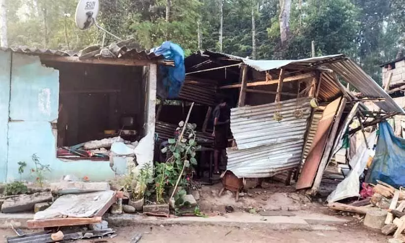 വന്യമൃഗ ശല്യം: വനം വകുപ്പിനെതിരെ സി.പി.എം വന്യമൃഗ ശല്യം: വനം വകുപ്പിനെതിരെ സി.പി.എം