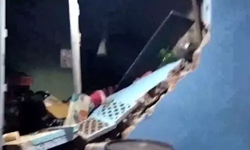 Wild Elephant Attack