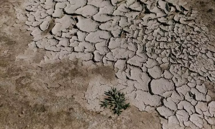 തിടുക്കം തിടുക്കം