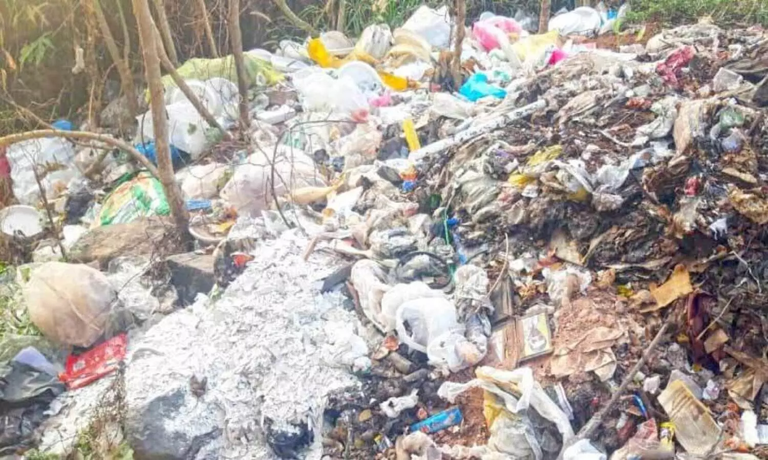 കുപ്പത്തൊട്ടിയോ കുമ്പള?