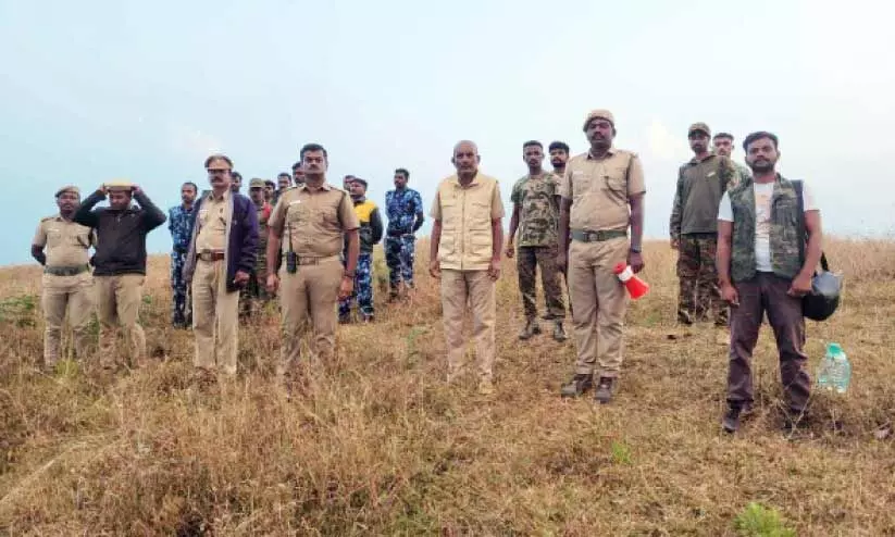 ചെളുക്കാടി മോഴയാന വീണ്ടും തിരിച്ചെത്തി ചെളുക്കാടി മോഴയാന വീണ്ടും തിരിച്ചെത്തി