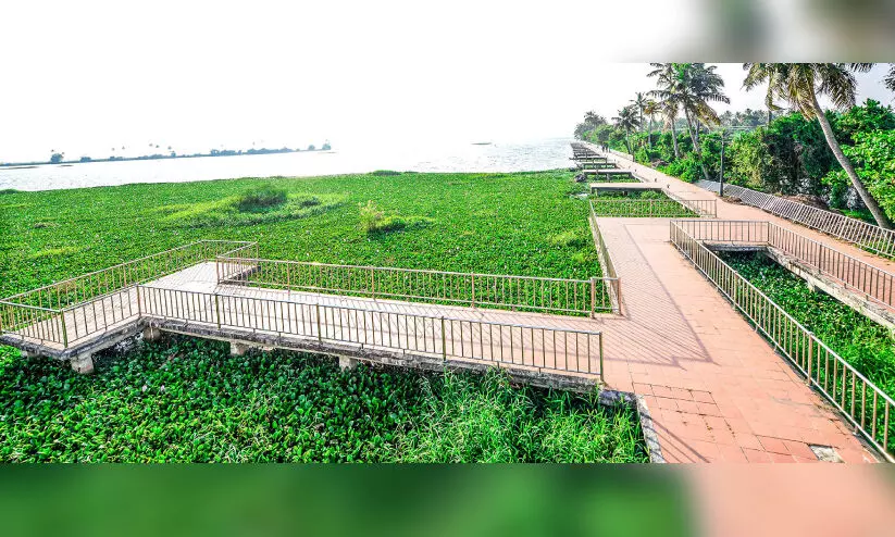 കുമരകം നാലുപങ്ക് ഹൗസ് ബോട്ട് ടെർമിനൽ; വിനോദവുമില്ല സഞ്ചാരവുമില്ല കുമരകം നാലുപങ്ക് ഹൗസ് ബോട്ട് ടെർമിനൽ; വിനോദവുമില്ല സഞ്ചാരവുമില്ല