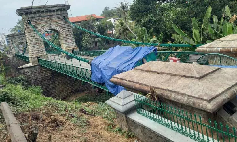 പുനലൂർ തൂക്കുപാലം വീണ്ടും ‘പച്ച’ പിടിച്ചു പുനലൂർ തൂക്കുപാലം വീണ്ടും ‘പച്ച’ പിടിച്ചു