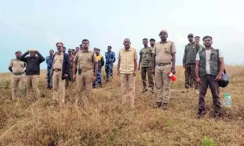 ചെളുക്കാടി മോഴയാന വീണ്ടും തിരിച്ചെത്തി ചെളുക്കാടി മോഴയാന വീണ്ടും തിരിച്ചെത്തി