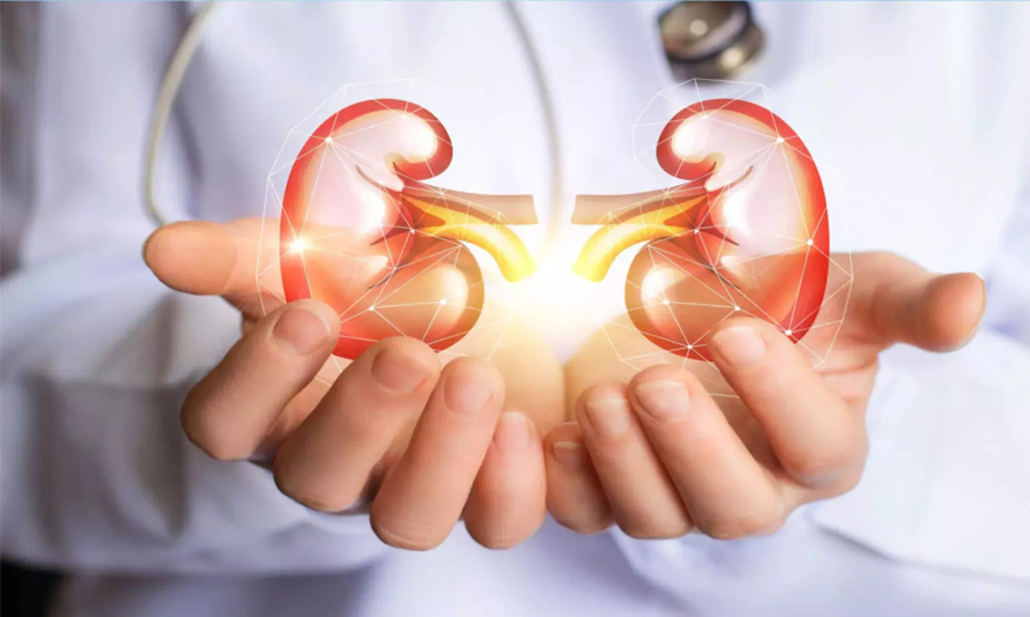 ഞാൻ വൃക്ക തരാം; ധീരതയിൽ തിളങ്ങി മുംതാസ് സുബൈർ