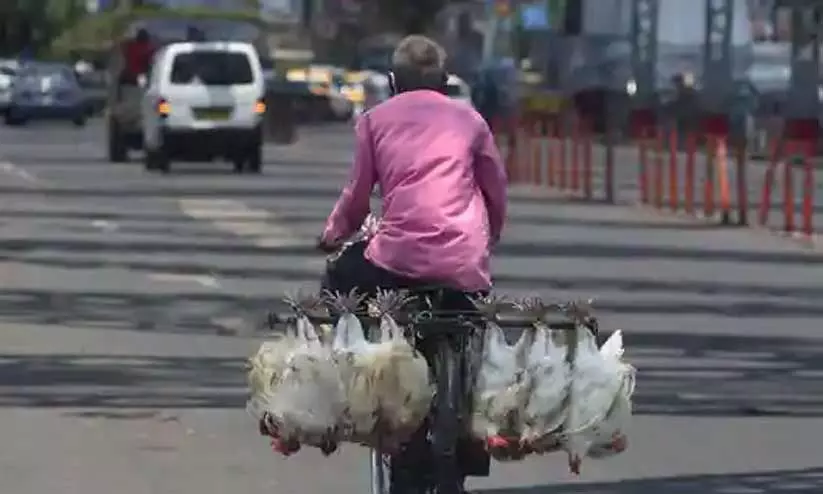 മാംസ വിൽപനക്കും അറവിനും ബംഗളൂരുവിൽ ഇന്ന് നിരോധനം മാംസ വിൽപനക്കും അറവിനും ബംഗളൂരുവിൽ ഇന്ന് നിരോധനം