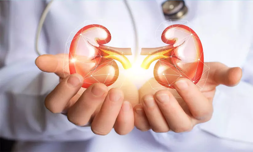 ത​ട​യാം, വൃ​ക്ക​രോ​ഗ​ങ്ങ​ൾ: ര​ണ്ടാം​ഘ​ട്ട കാ​മ്പ​യി​ൻ സ​മാ​പി​ച്ചു