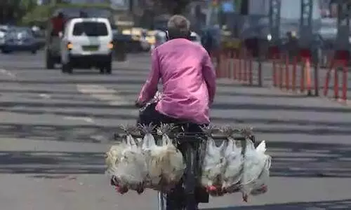 മാംസ വിൽപനക്കും അറവിനും ബം​ഗ​ളൂ​രുവിൽ ഇന്ന്​ നിരോധനം