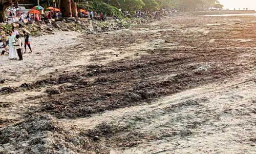 Mahatma Gandhi Beach