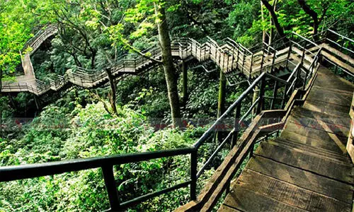 വനം വകുപ്പിന്റെ പുതിയ ഇക്കോ ടൂറിസം പദ്ധതി ഉപേക്ഷിക്കണമെന്ന് പ്രകൃതി സംരക്ഷണ സമിതി