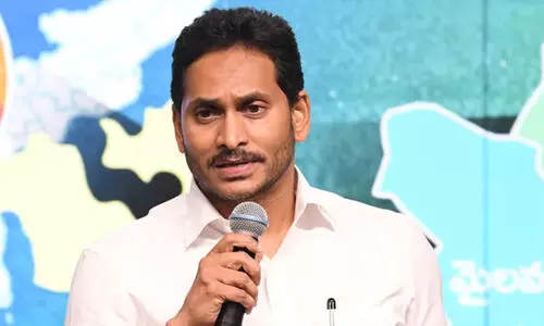 economic based census