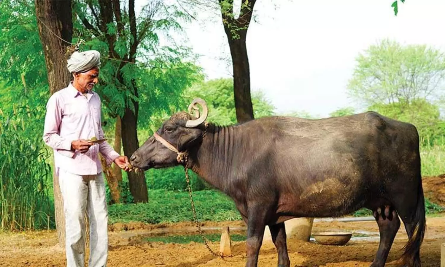 Need for Tuberculosis control in animals- for Tuberculosis elimination