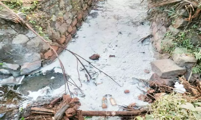 മാതാംതോട്ടിൽ ശുചിമുറി മാലിന്യം തള്ളി മാതാംതോട്ടിൽ ശുചിമുറി മാലിന്യം തള്ളി