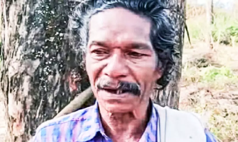 അരിക്കൊമ്പൻ വീണ്ടും കുടിൽ തകർത്തു; ഗൃഹനാഥൻ രക്ഷപ്പെട്ടത് തലനാരിഴക്ക് അരിക്കൊമ്പൻ വീണ്ടും കുടിൽ തകർത്തു; ഗൃഹനാഥൻ രക്ഷപ്പെട്ടത് തലനാരിഴക്ക്