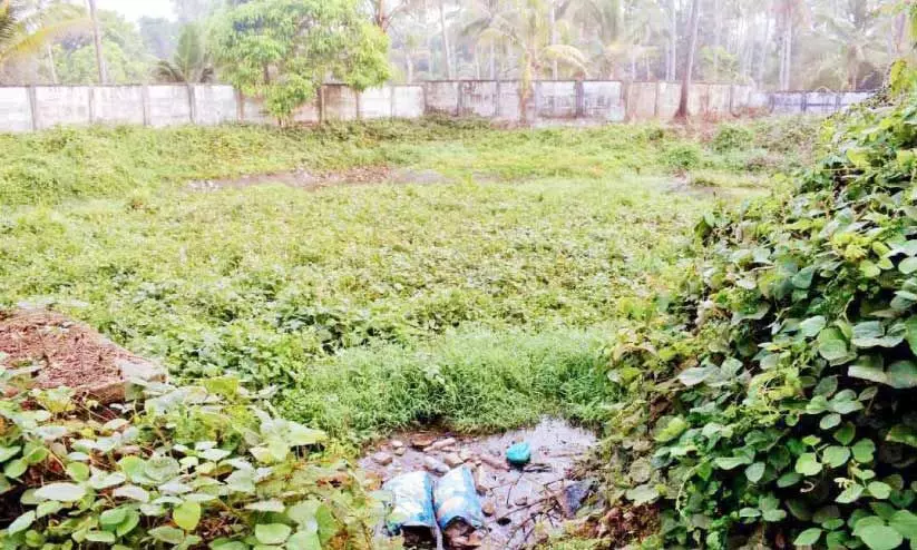 മ​ന​യു​ടെ കു​ള​ത്തി​ൽ ക​ക്കൂ​സ് മാ​ലി​ന്യം ത​ള്ളി