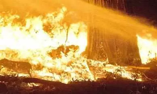 തൃശൂരിൽ പൊട്ടിച്ചിതറിയത് അമിട്ട് ഗുളികകൾ; ഭൂകമ്പമെന്ന് കരുതി പേടിച്ച് പ്രദേശവാസികൾ, 10 കി.മീറ്റർ ദൂരേക്ക് സ്ഫോടനത്തിന്റെ പ്രകമ്പനം