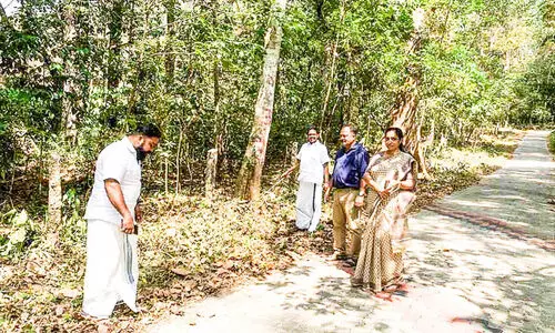 കാട്ടുതീ തടയാൻ പത്തനംതിട്ടയിൽ വനം വകുപ്പ്  മുന്നൊരുക്കം തുടങ്ങി