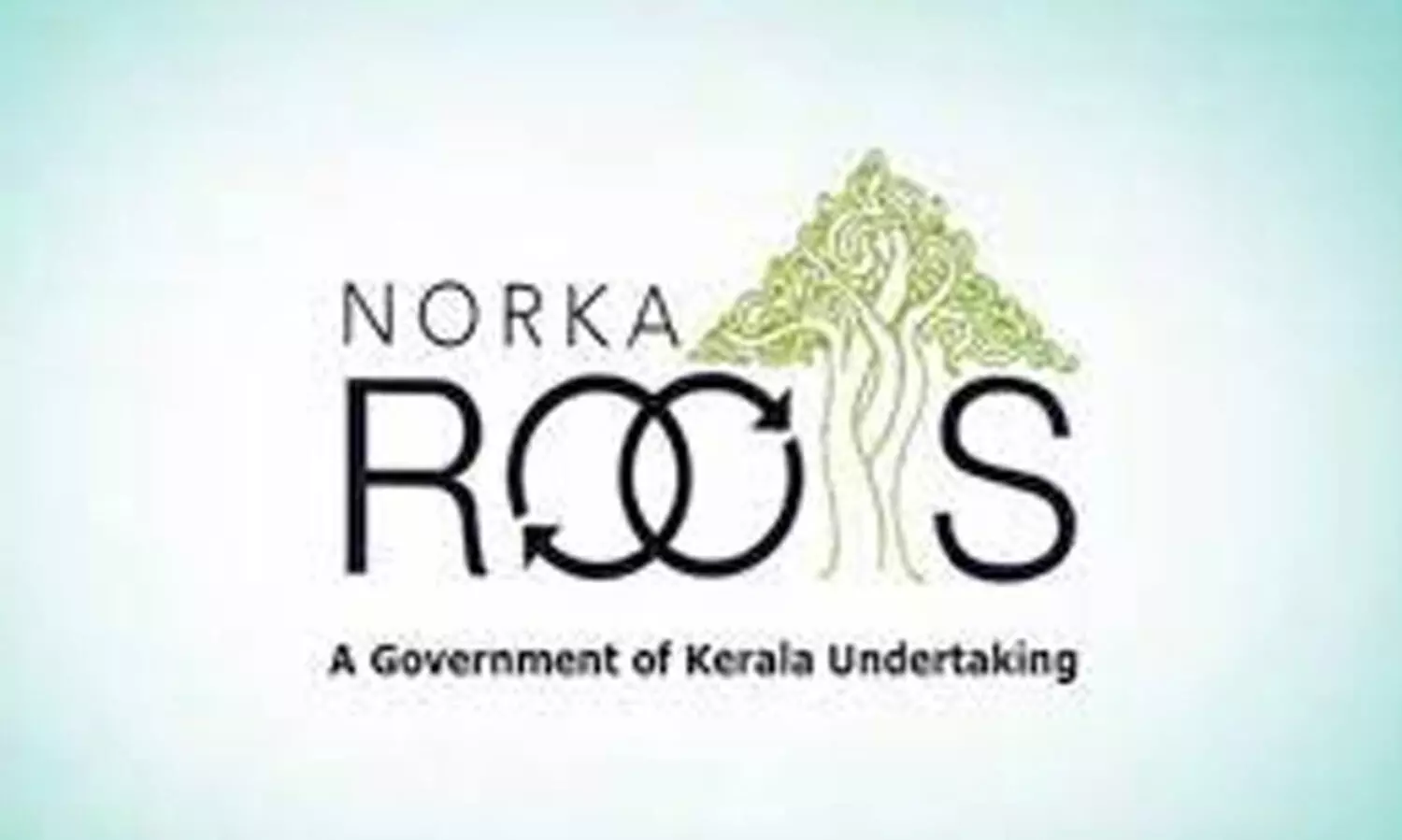 norka roots