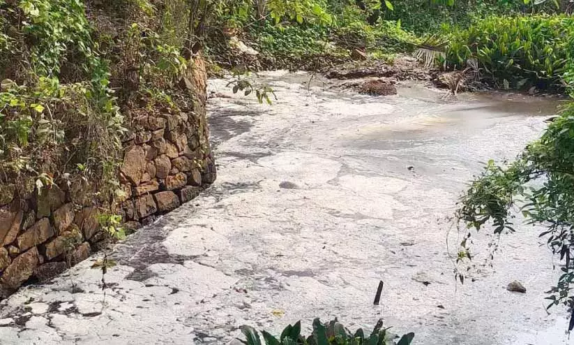 മണ്ണാത്തിക്കടവ് തോട്ടിൽ കക്കൂസ് മാലിന്യം തള്ളി; കുളിക്കാനും അലക്കാനുമാവാതെ പ്രദേശവാസികൾ ദുരിതത്തിൽ