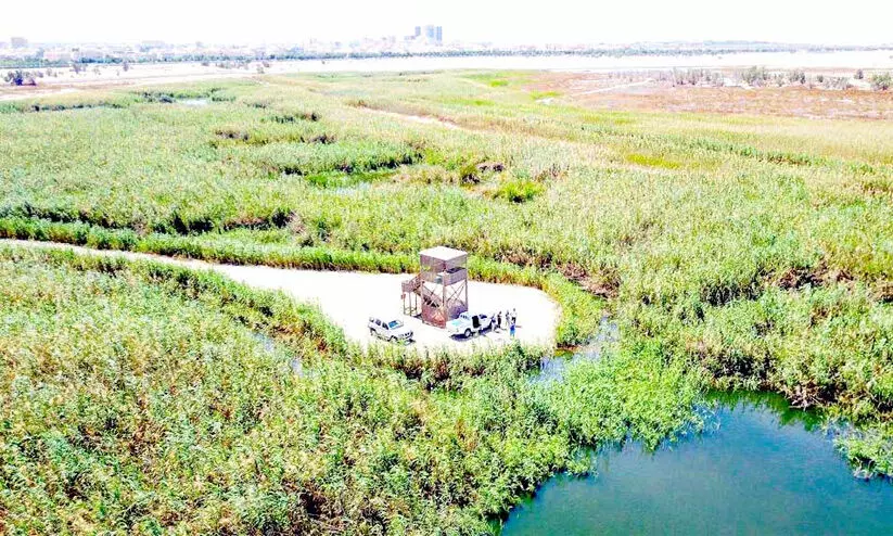 സ​ബാ​ഹ് അ​ൽ അ​ഹ​മ്മ​ദ് പ​രി​സ്ഥി​തി കേ​ന്ദ്രം;   സം​ര​ക്ഷി​ത മേ​ഖ​ല​യി​ല്‍ പ്ര​വേ​ശി​ക്കു​ന്ന​തി​ന് വി​ല​ക്ക്