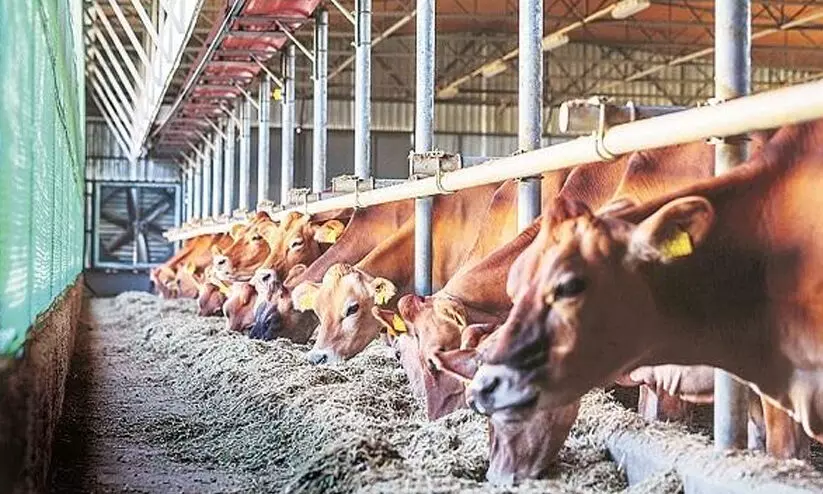 Union budget 2023 Union budget 2023