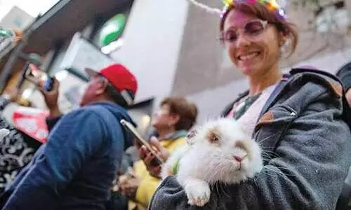 ഷിൻ ന്യാൻ ക്വയ് ല് (പുതുവത്സരാശംസകൾ)