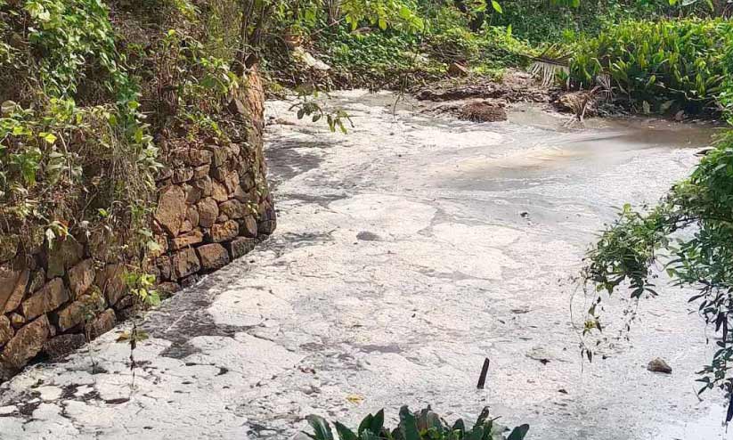 മണ്ണാത്തിക്കടവ് തോട്ടിൽ കക്കൂസ് മാലിന്യം തള്ളി; കുളിക്കാനും അലക്കാനുമാവാതെ പ്രദേശവാസികൾ ദുരിതത്തിൽ