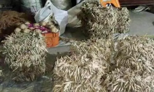 കൊ​ര​ട്ടി​യി​ൽ അ​ന​ധി​കൃ​ത വെ​ടി​മ​രു​ന്ന് നി​ർ​മാ​ണ​ശാ​ല ഉ​ട​മ​യും സ​ഹാ​യി​ക​ളും പി​ടി​യി​ൽ