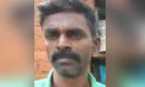 വീട്ടിൽ കഞ്ചാവ് ചെടി വളർത്തിയ യുവാവ് പിടിയിൽ